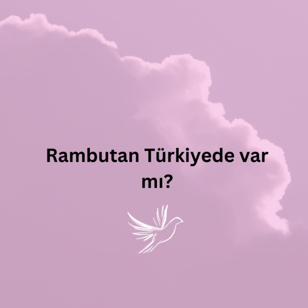 Rambutan Türkiyede var mı? 1