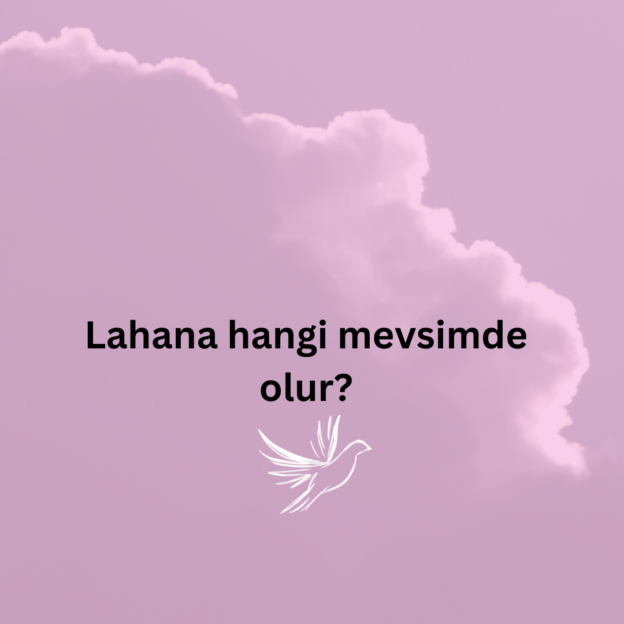 Lahana hangi mevsimde olur? 2