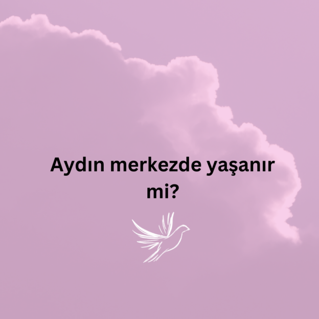 Aydın merkezde yaşanır mi? 1