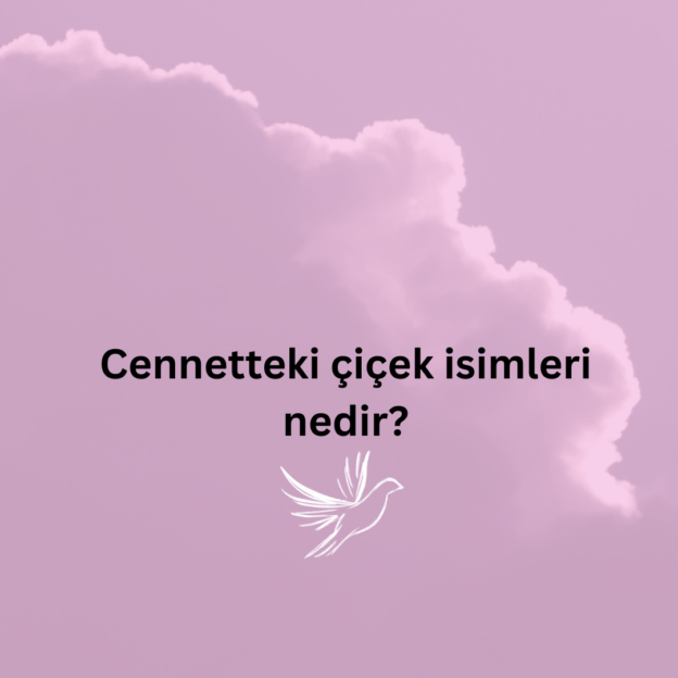 Cennetteki çiçek isimleri nedir? 1