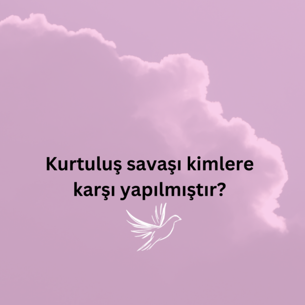 Kurtuluş savaşı kimlere karşı yapılmıştır? 1