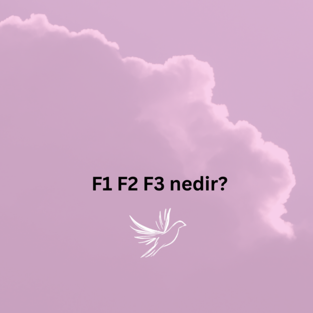 F1 F2 F3 nedir? 1