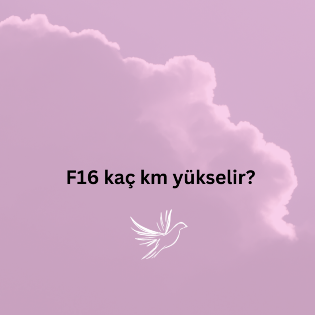 F16 kaç km yükselir? 3