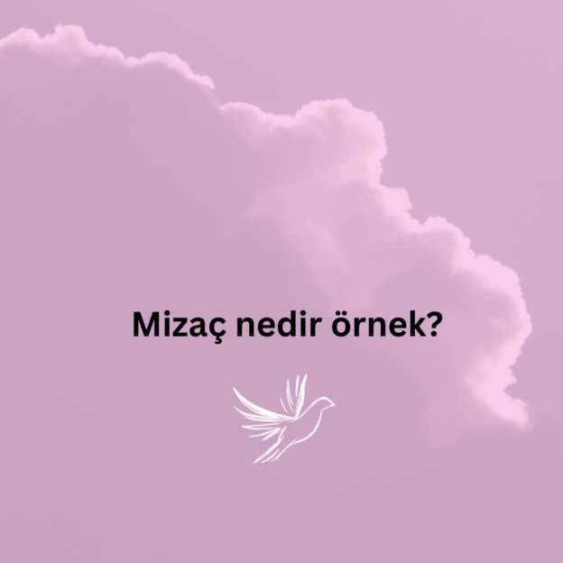 Mizaç nedir örnek? 1