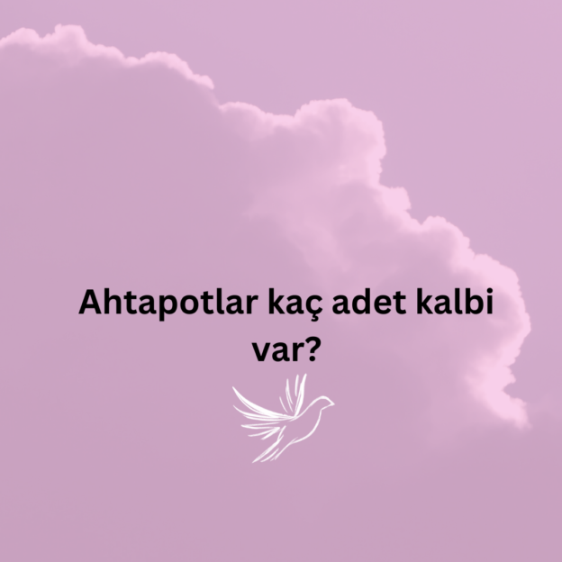 Ahtapotlar kaç adet kalbi var? 8