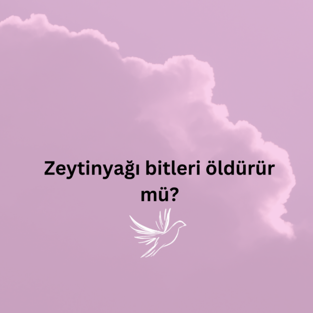 Zeytinyağı bitleri öldürür mü? 1