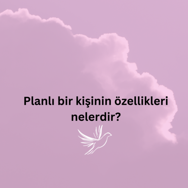 Planlı bir kişinin özellikleri nelerdir? 2