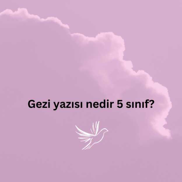 Gezi yazısı nedir 5 sınıf? 1