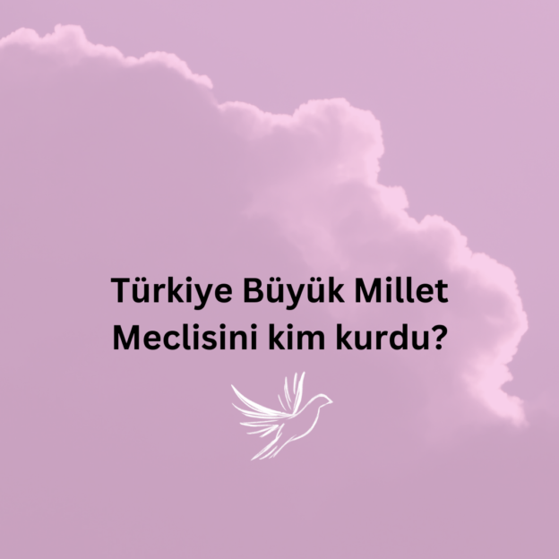 Türkiye Büyük Millet Meclisini kim kurdu? 9