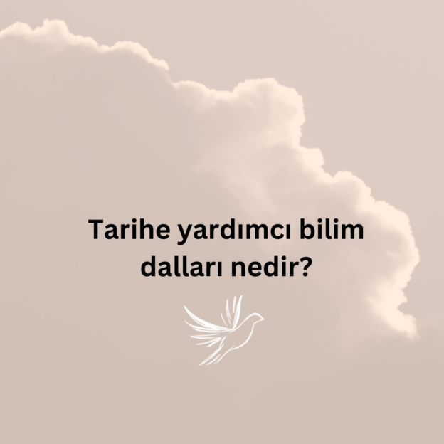 Tarihe yardımcı bilim dalları nedir? 7