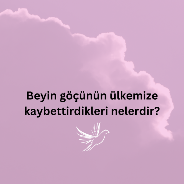 Beyin göçünün ülkemize kaybettirdikleri nelerdir? 6