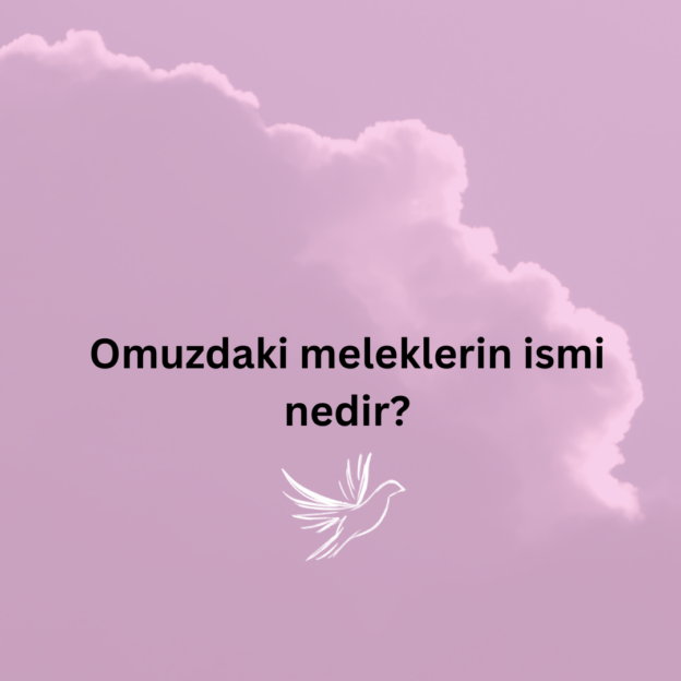 Omuzdaki meleklerin ismi nedir? 1