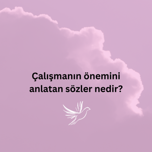 Çalışmanın önemini anlatan sözler nedir? 1