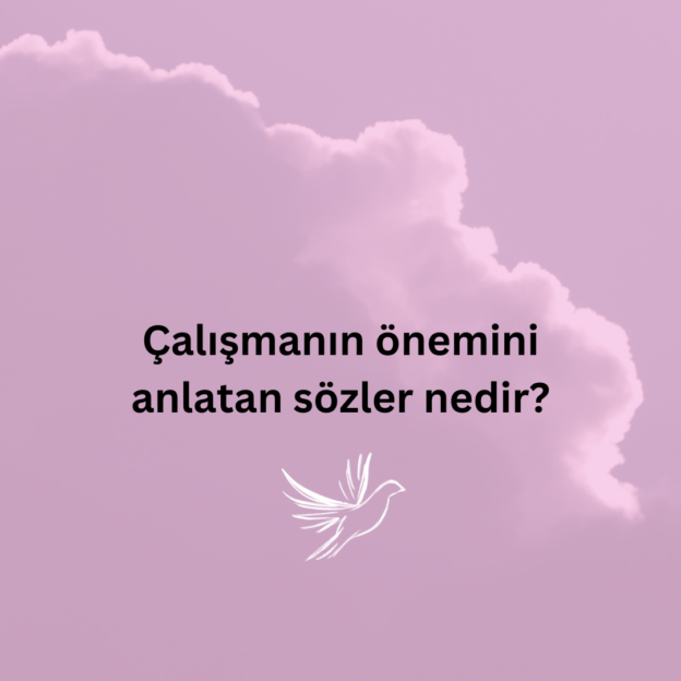 Çalışmanın önemini anlatan sözler nedir? 5