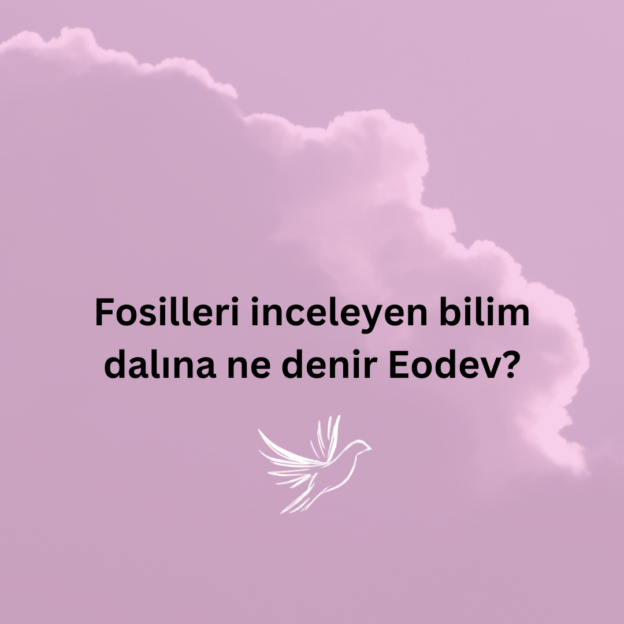 Fosilleri inceleyen bilim dalına ne denir Eodev? 4