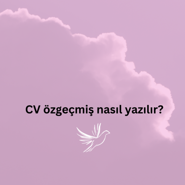 CV özgeçmiş nasıl yazılır? 9