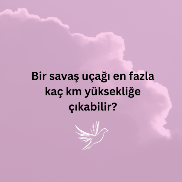 Bir savaş uçağı en fazla kaç km yüksekliğe çıkabilir? 6