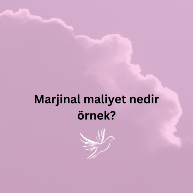 Marjinal maliyet nedir örnek? 1
