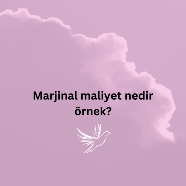 Marjinal maliyet nedir örnek? 2