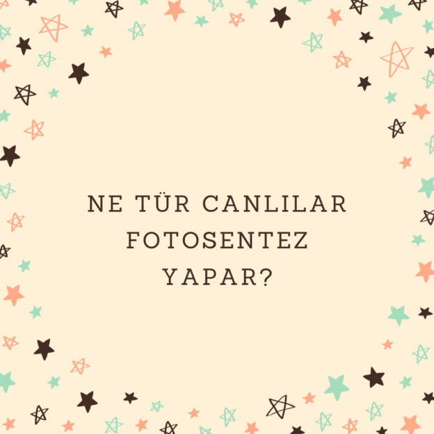 Ne tür canlılar fotosentez yapar? 8