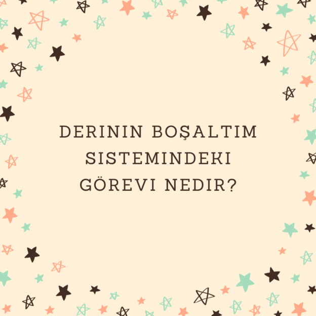 Derinin boşaltım sistemindeki görevi nedir? 1