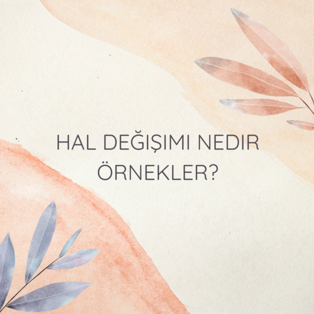 Hal değişimi nedir örnekler? 1
