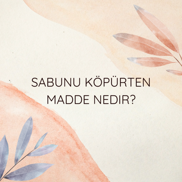 Sabunu köpürten madde nedir? 7