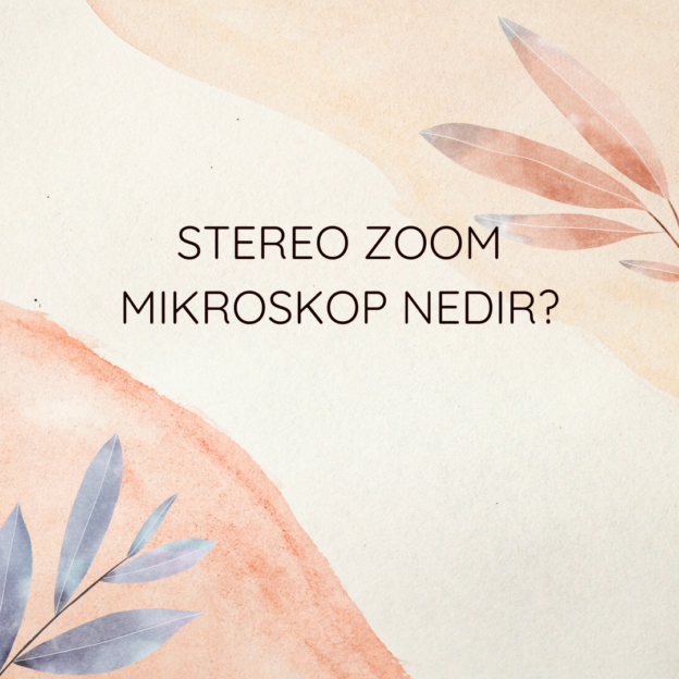 Stereo zoom mikroskop nedir? 1