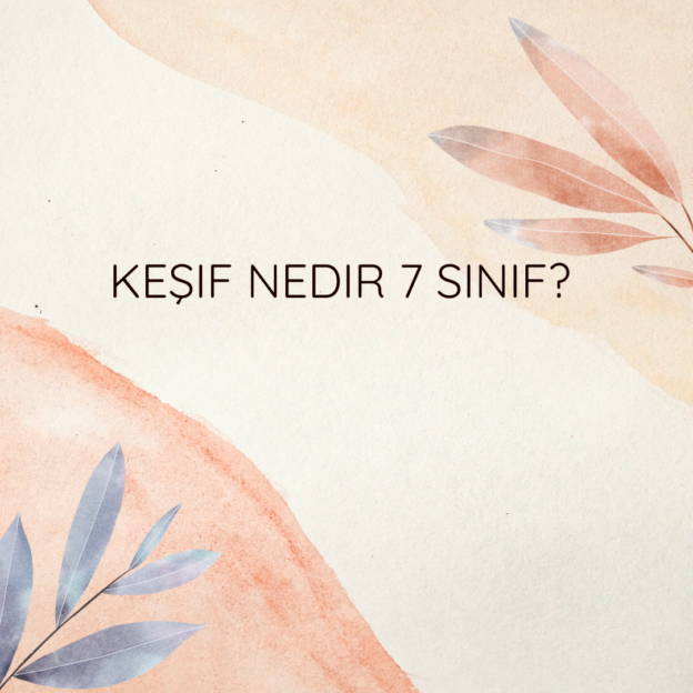 Keşif nedir 7 sınıf? 1
