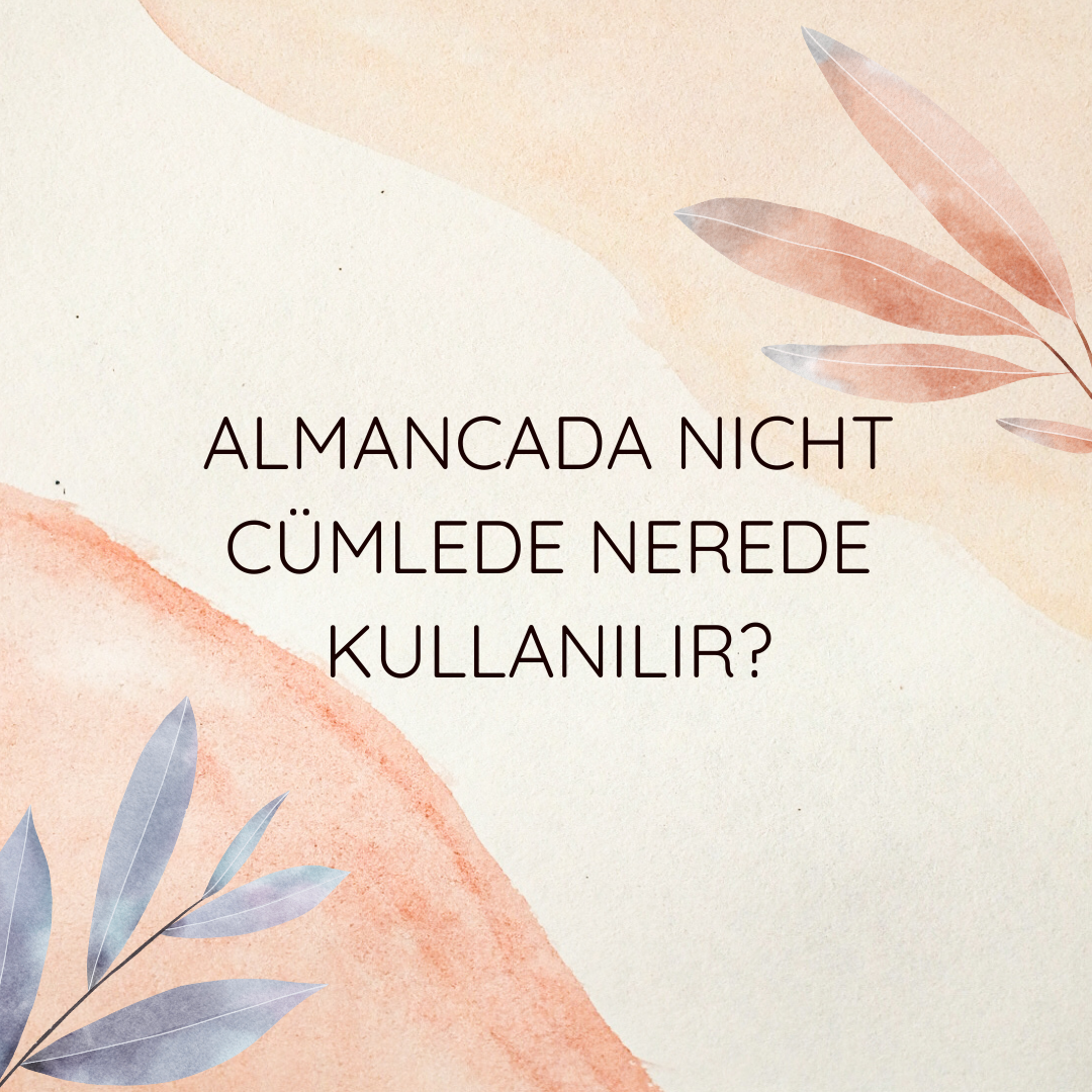 Almancada nicht cümlede nerede kullanılır? Ne Demek Zıt Anlamı Eş