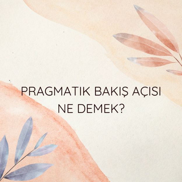 Pragmatik bakış açısı ne demek? 1