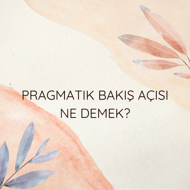 Pragmatik bakış açısı ne demek? 6