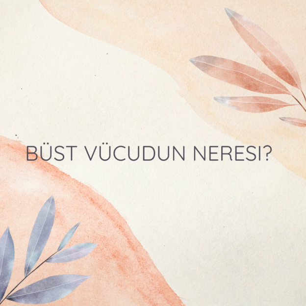 Büst vücudun neresi? 1