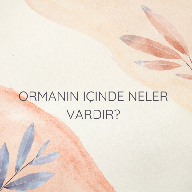 Ormanın içinde neler vardır? 1