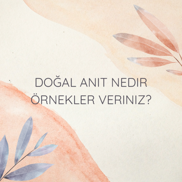 Doğal anıt nedir örnekler veriniz? 1
