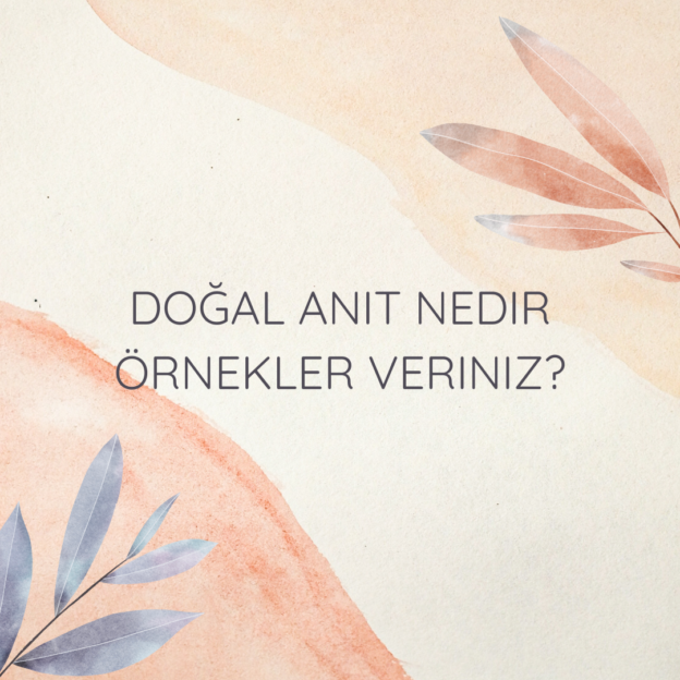 Doğal anıt nedir örnekler veriniz? 10