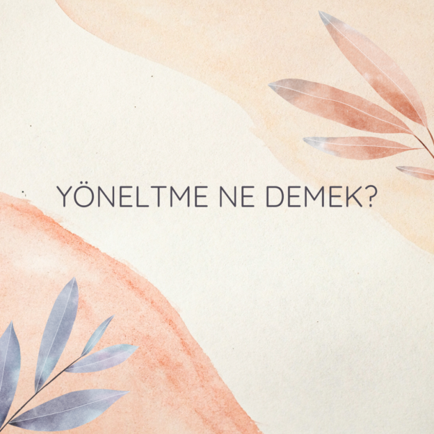 Yöneltme ne demek? 1