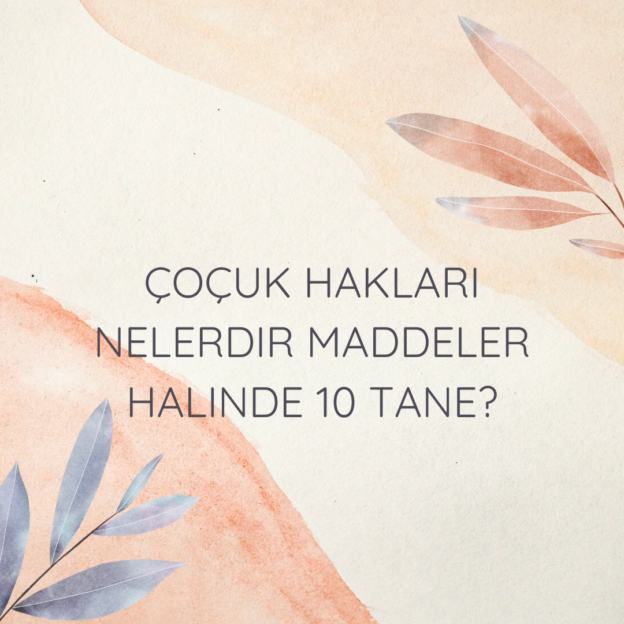 Çoçuk hakları nelerdir maddeler halinde 10 tane? 8