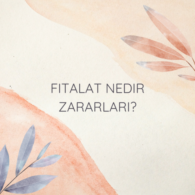 Fitalat nedir zararları? 9