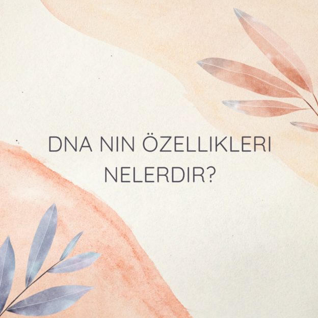 DNA nin özellikleri nelerdir? 1