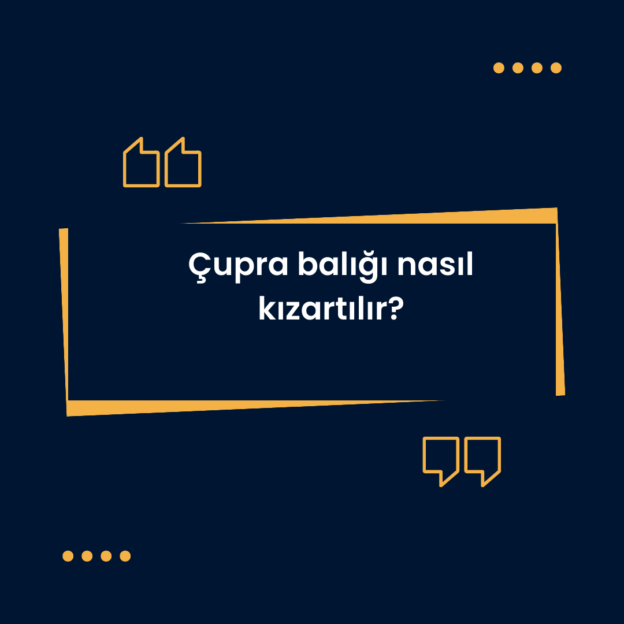 Çupra balığı nasıl kızartılır? 9