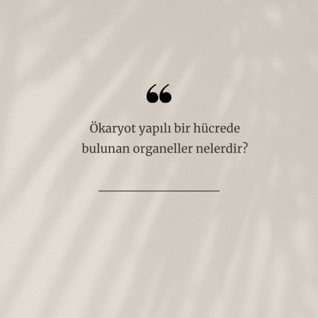 Ökaryot yapılı bir hücrede bulunan organeller nelerdir? 1