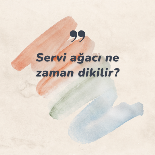 Servi ağacı ne zaman dikilir? 5