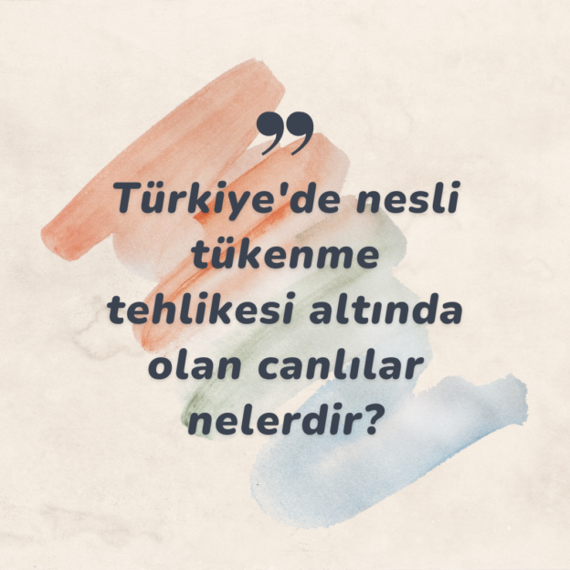 Türkiye'de nesli tükenme tehlikesi altında olan canlılar nelerdir? 1