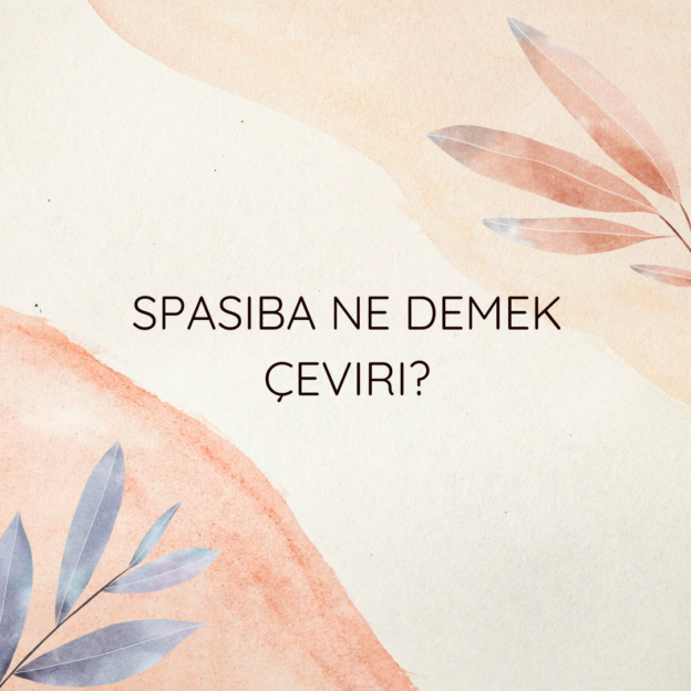 Spasiba ne demek çeviri? 1