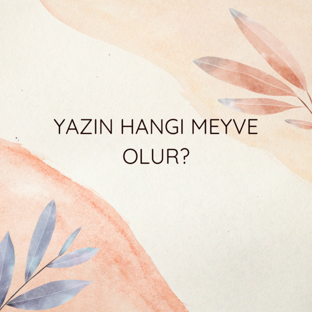 Yazın hangi meyve olur? 1
