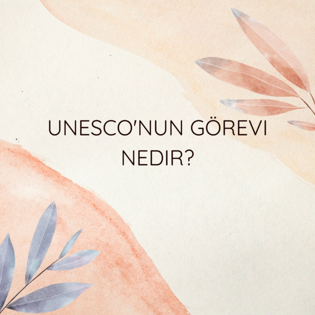 Unesco'nun görevi nedir? 5