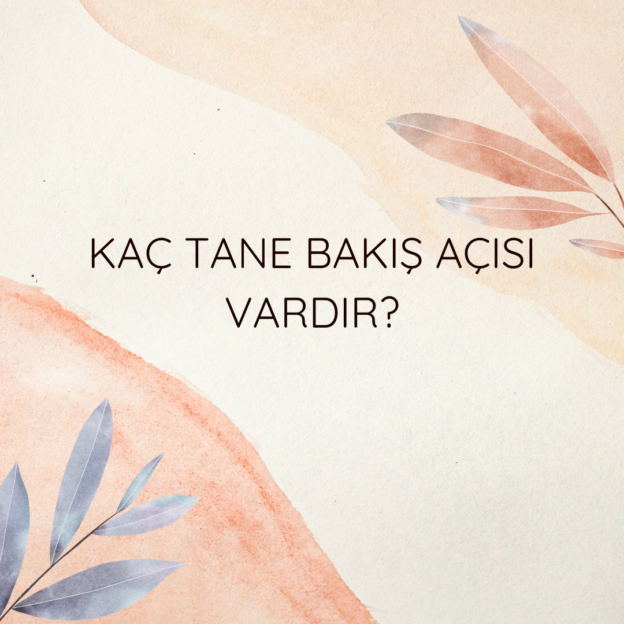 Kaç tane bakış açısı vardır? 1