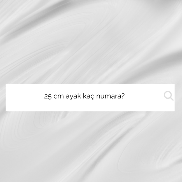 25 cm ayak kaç numara? 1