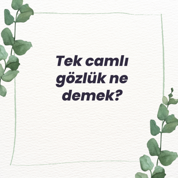 Tek camlı gözlük ne demek? 1